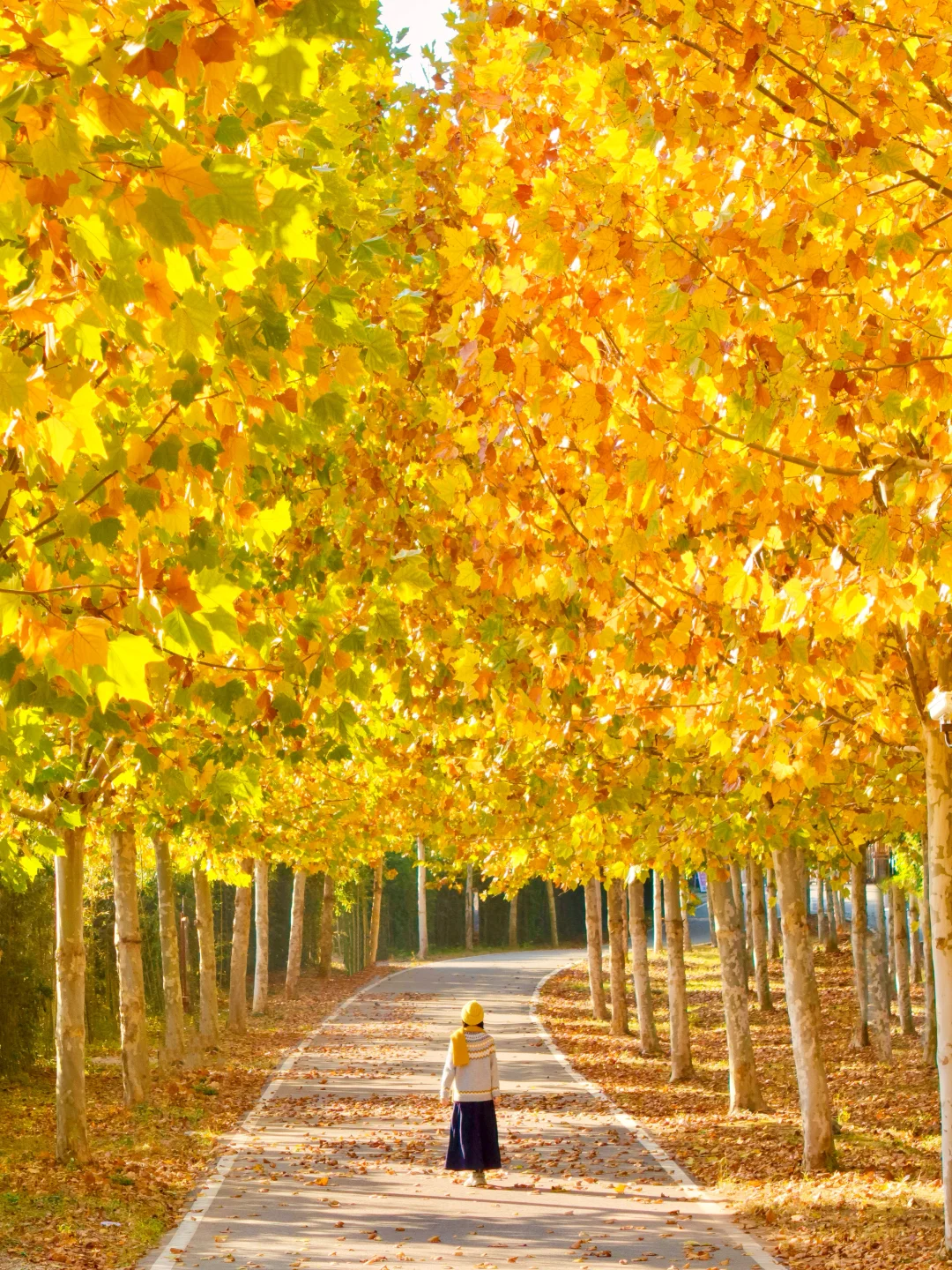 人生建议: 抵达徐州第一站从这开始Citywalk
