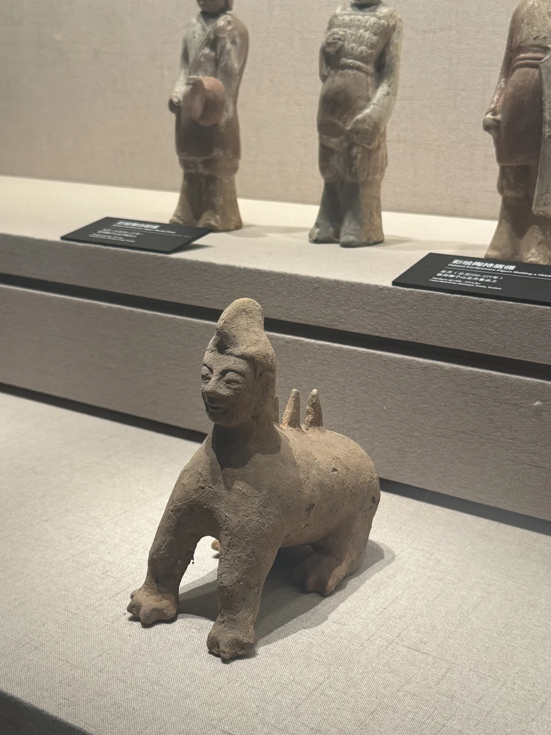 谁来懂一下徐州博物馆的幽默😂