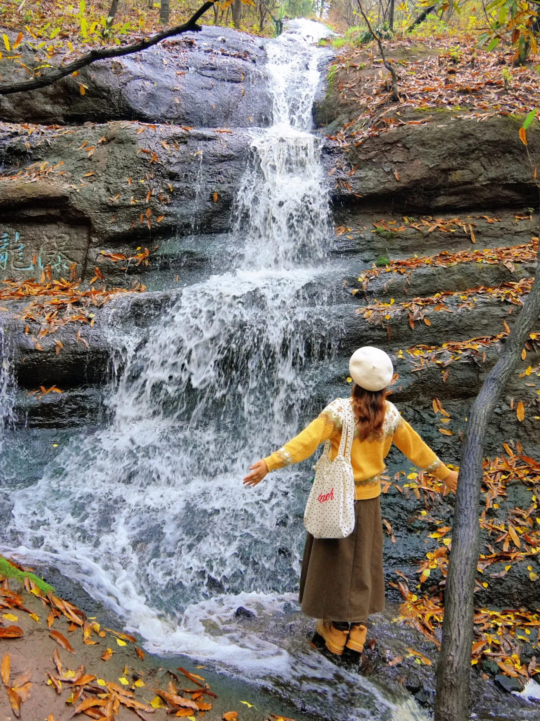迄今为止🍁江浙沪最喜欢的秋游小城出现了‼️