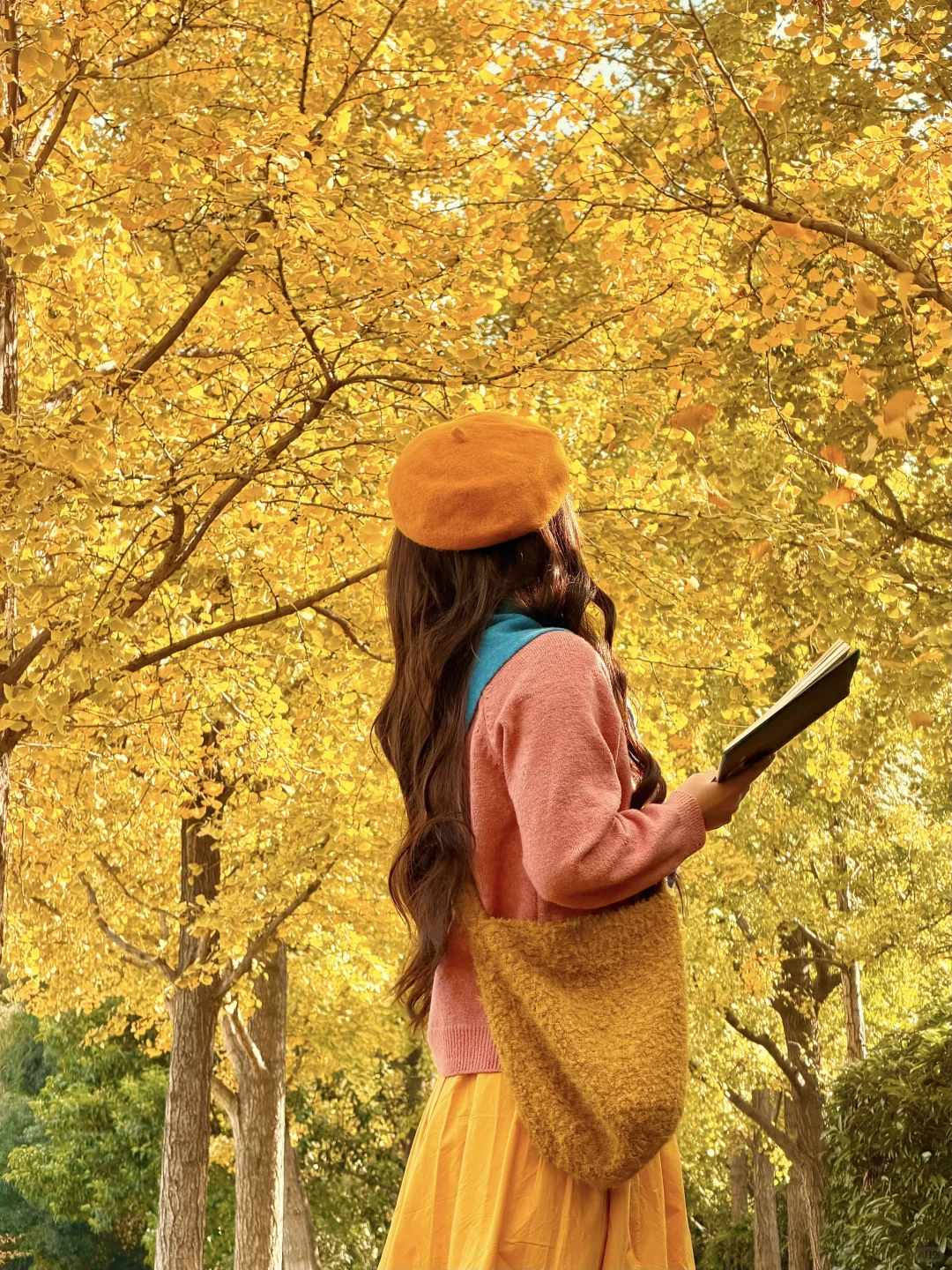 11.11实况！南京银杏大道杀疯了！！🈚️人！！！