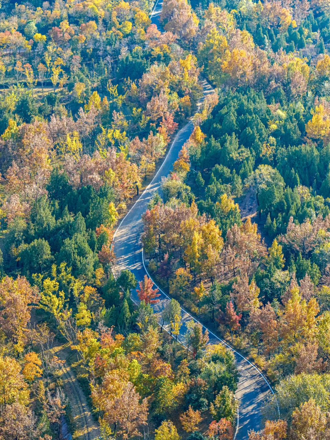 迄今为止❗️我最喜欢的旅游城市出现了….