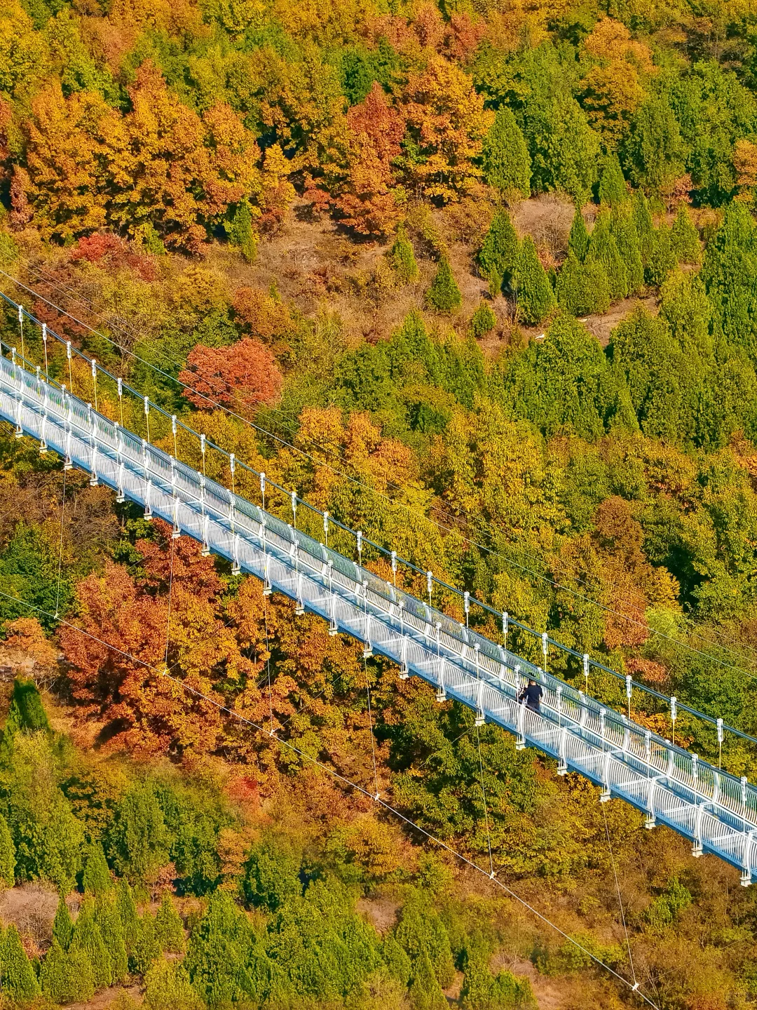人生建议: 抵达徐州第一站从这开始Citywalk