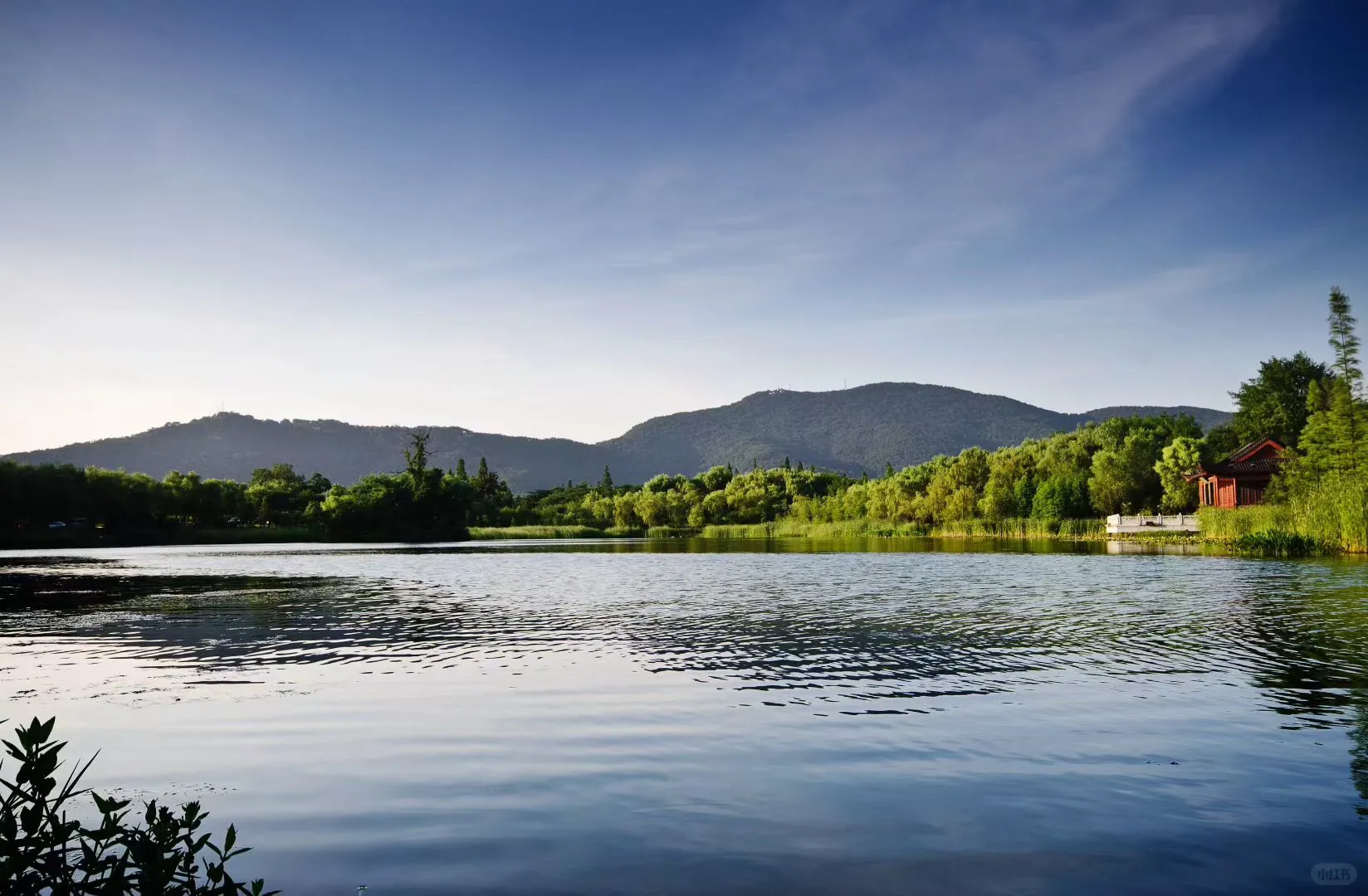 南京市中心紫金山旁，稀缺低密别墅