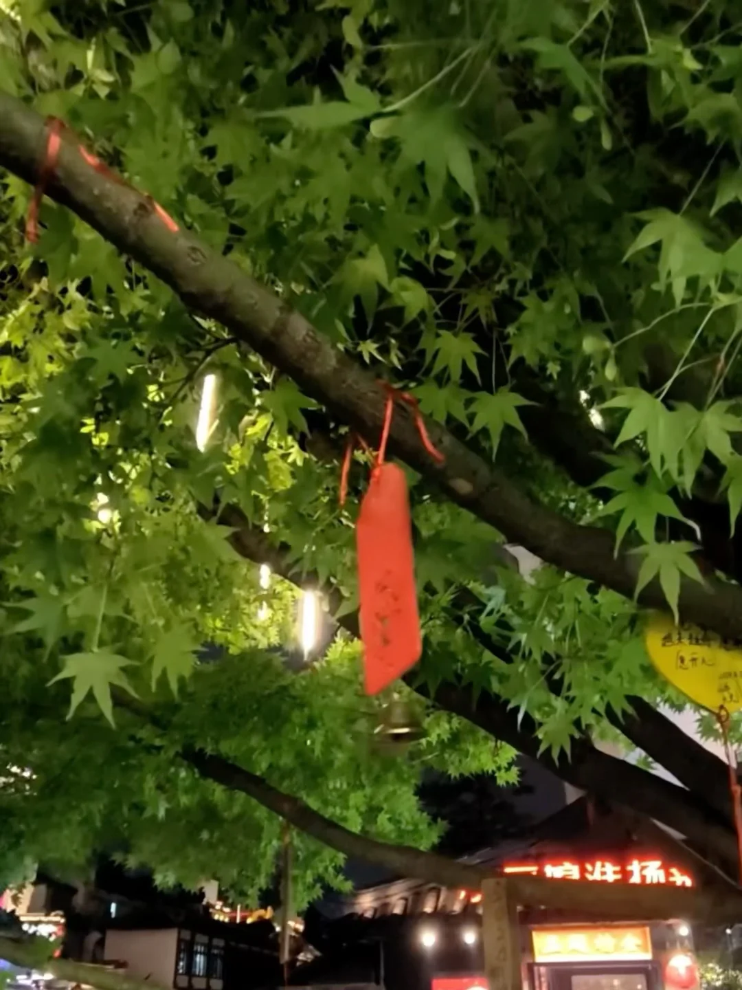 南京夫子庙 | 金陵烟火气，全藏在这啦🎇