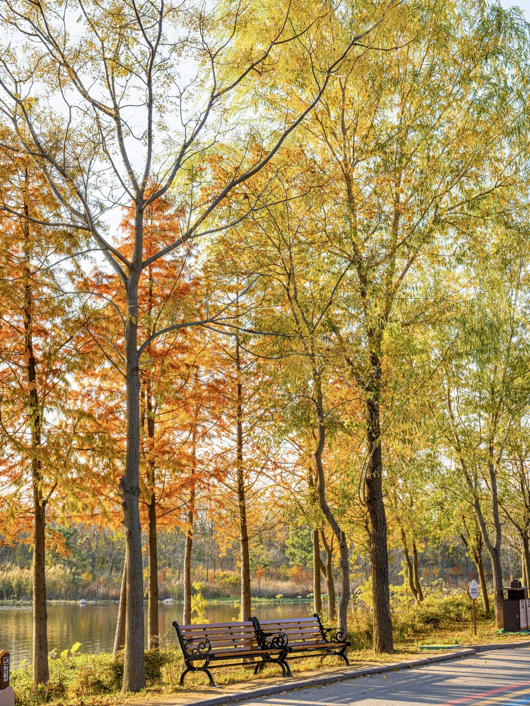 迄今为止❗️我最喜欢的旅游城市出现了….