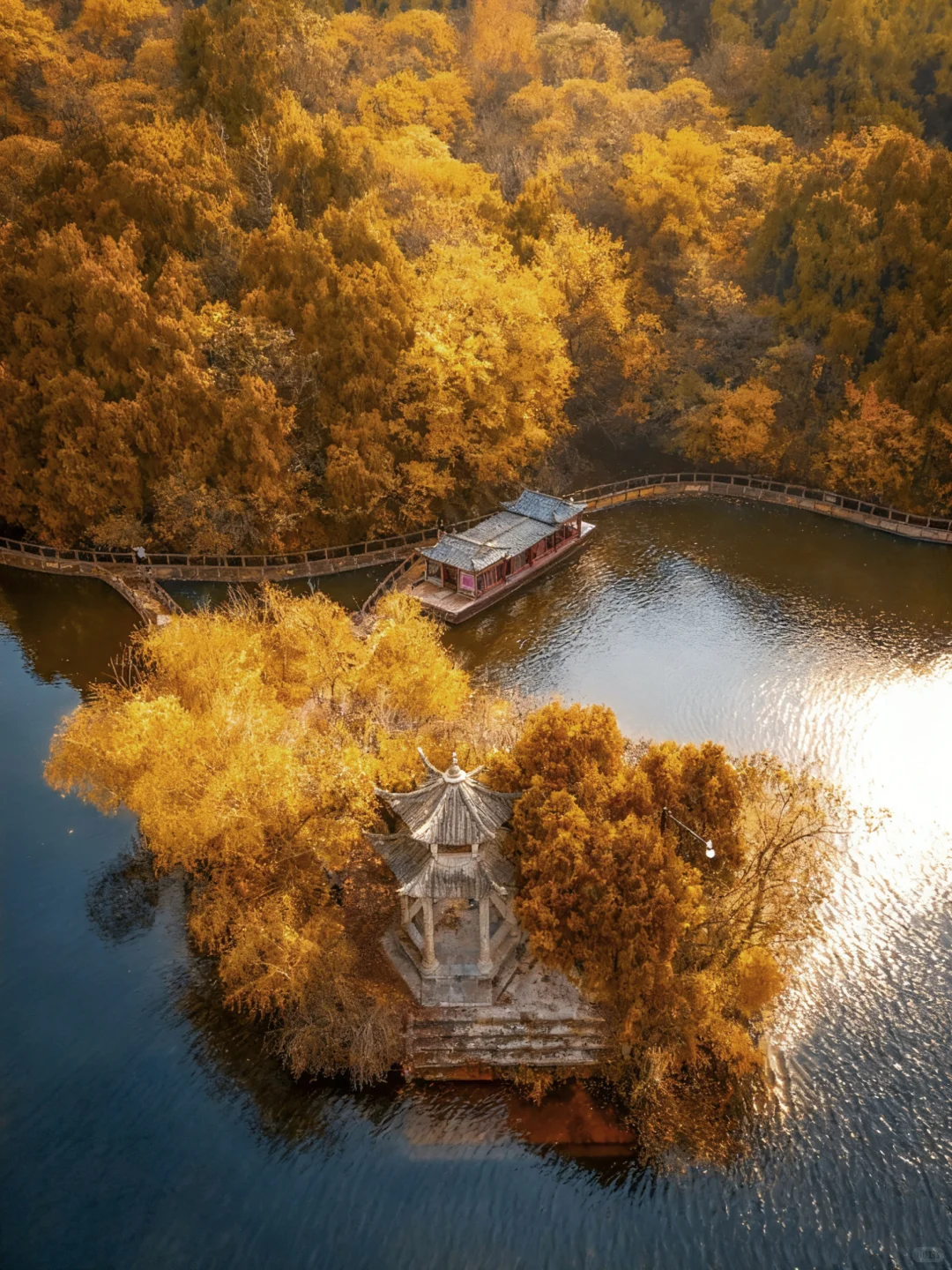 为了这片顶级秋色…在徐州暴走了两小时‼️