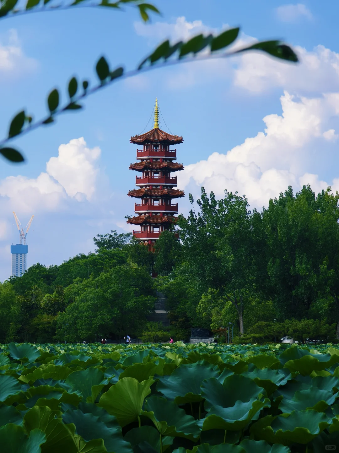 你要写徐州，就不能只写徐州