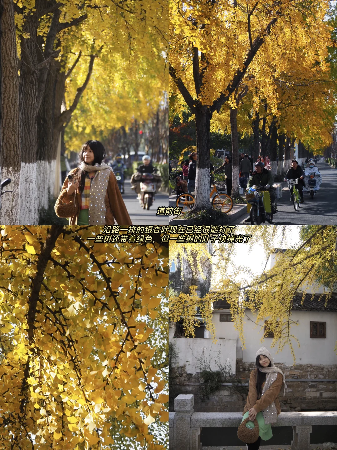 听说你准备要去苏州赏秋，提前帮你探探路