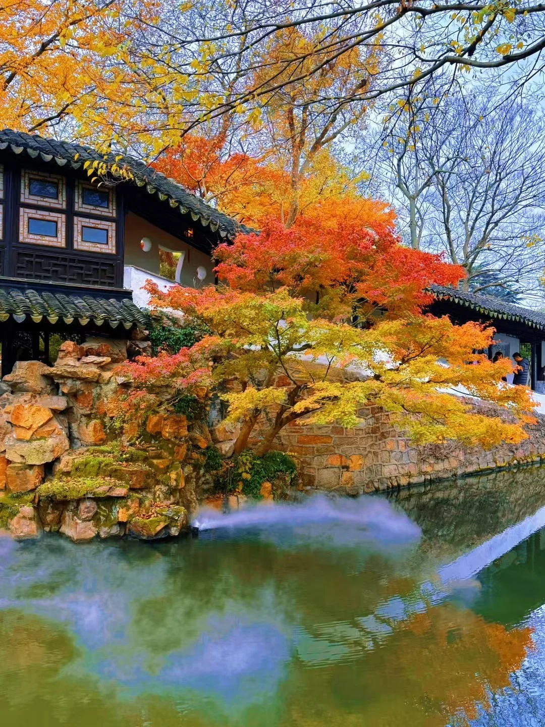 12月的苏州拙政园，错过又要等一年！