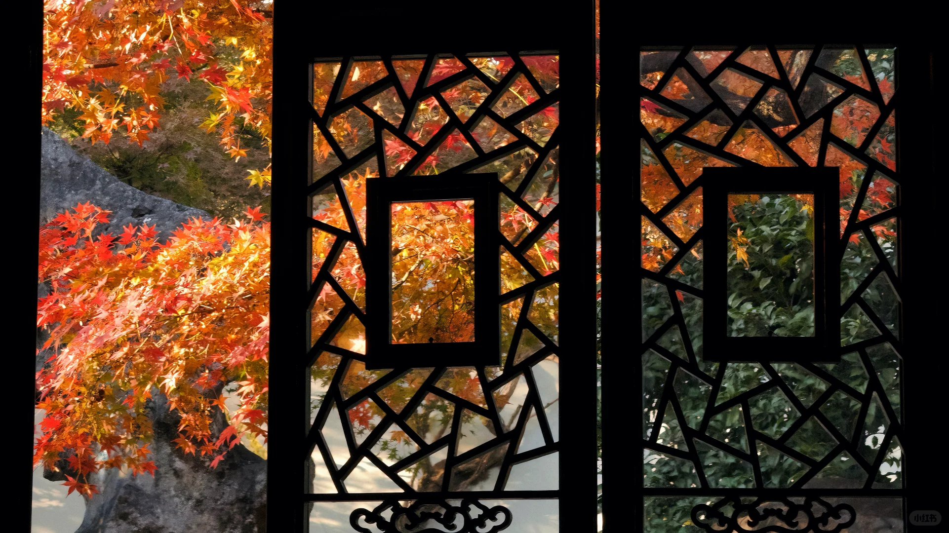 11.18刚去！留园的枫叶真的绝了！太美了！