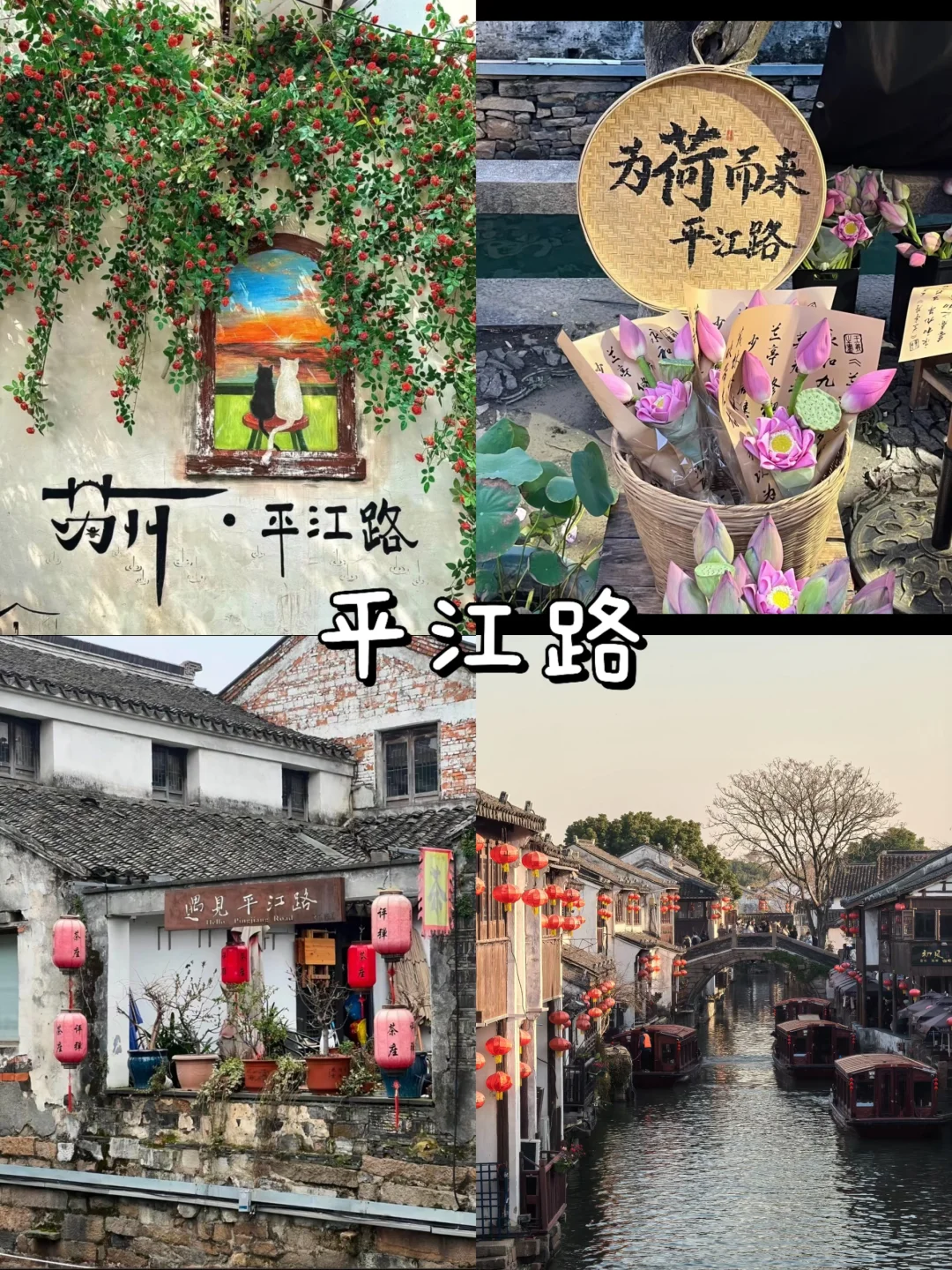 极限特种兵🚶‍♂️之苏州两天一晚旅游攻略📷