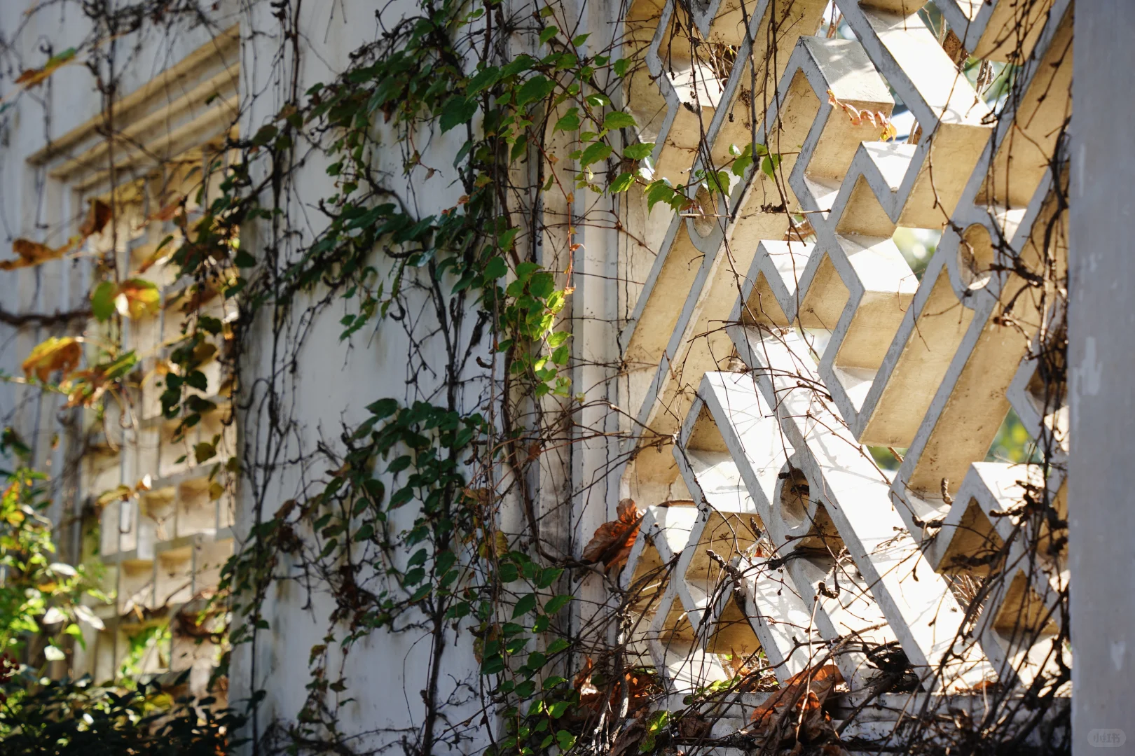 苏州周末两日游C