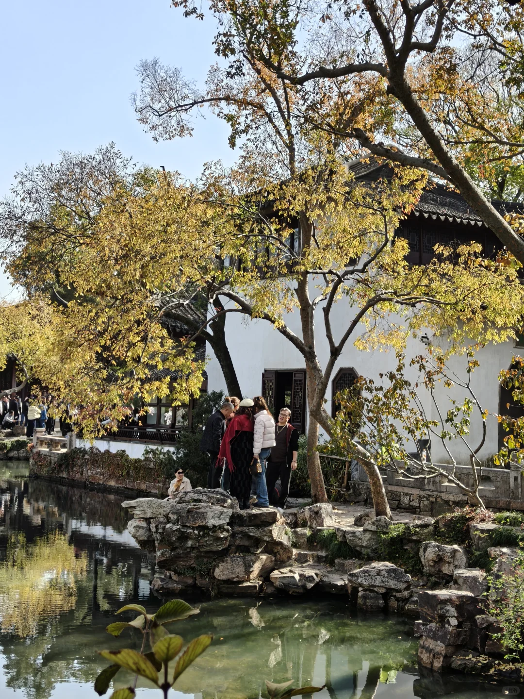 苏州园林｜拙政园