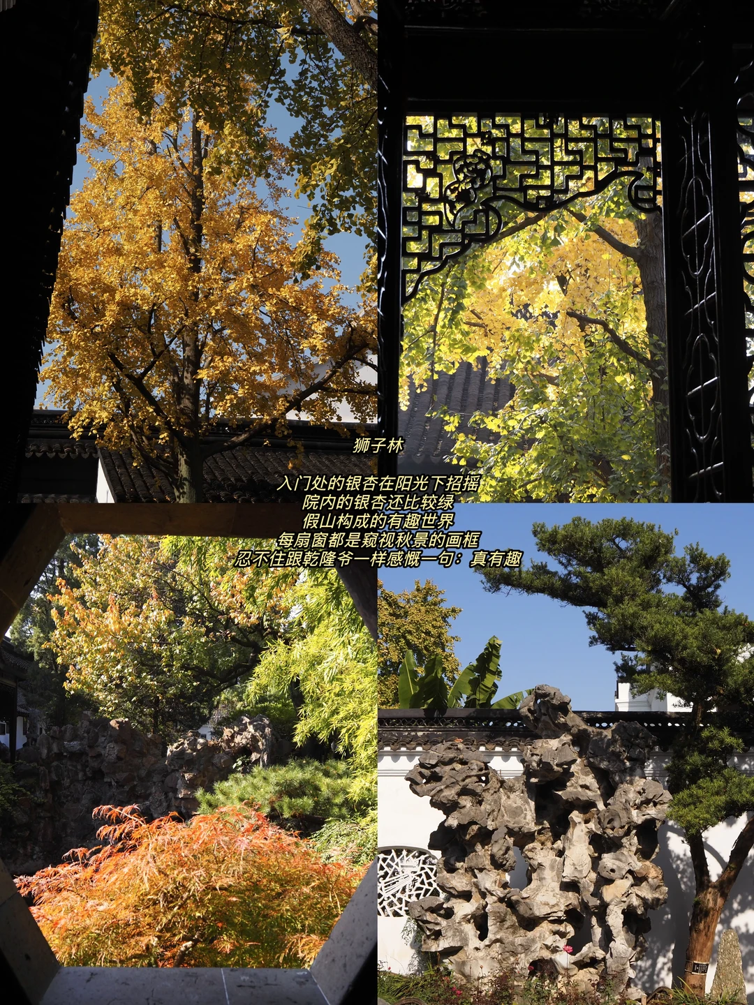 听说你准备要去苏州赏秋，提前帮你探探路