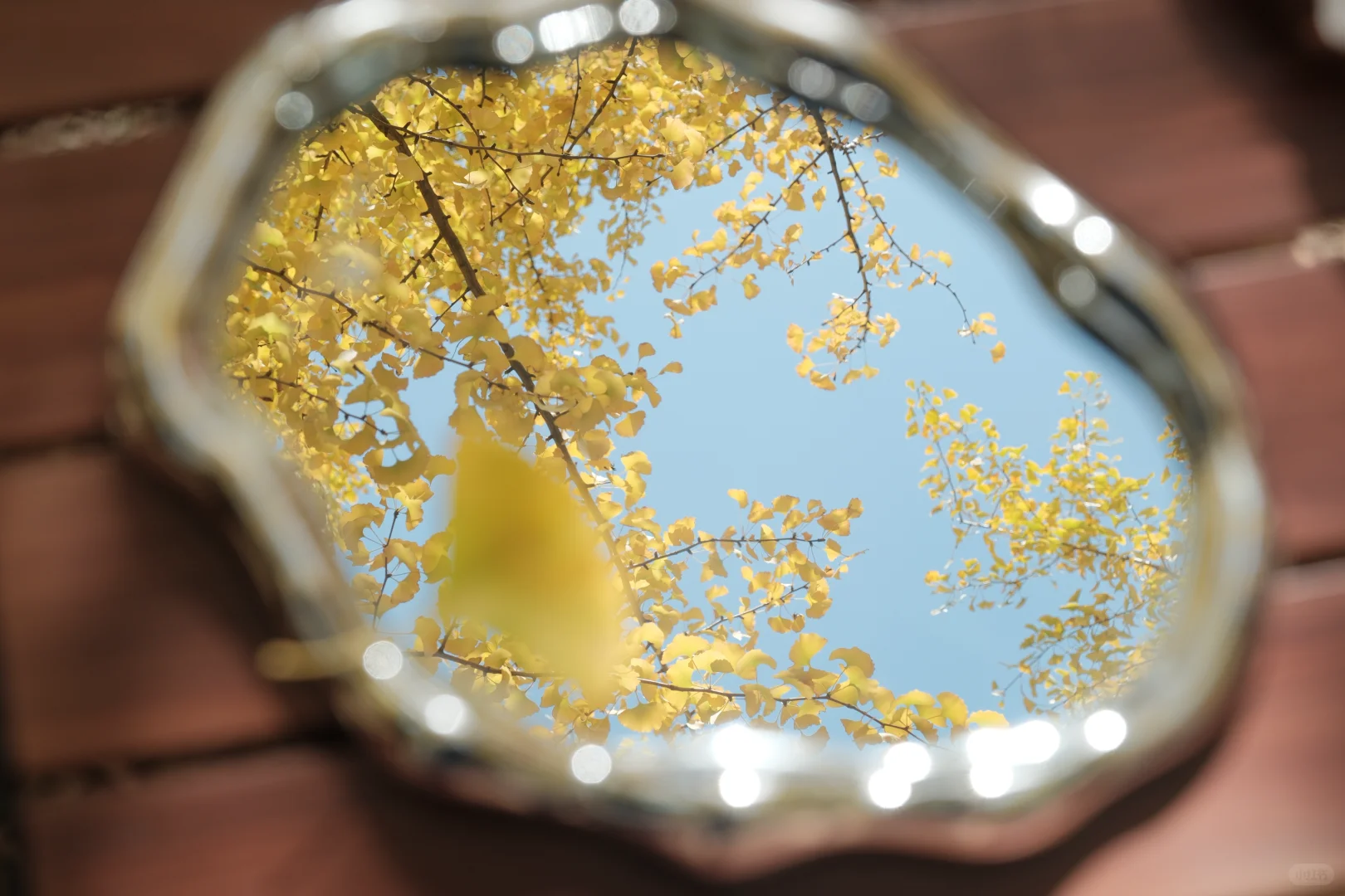 苏州📸 | 银杏-拍照 | 机位分享【附位置】