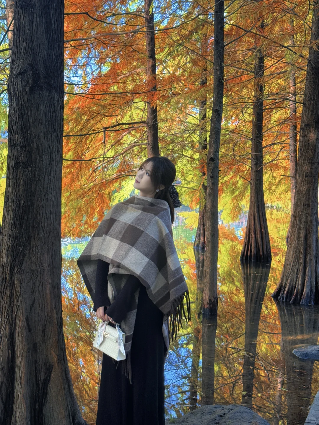 11.10实拍❗️南京落羽杉林已美成一幅画🖼️