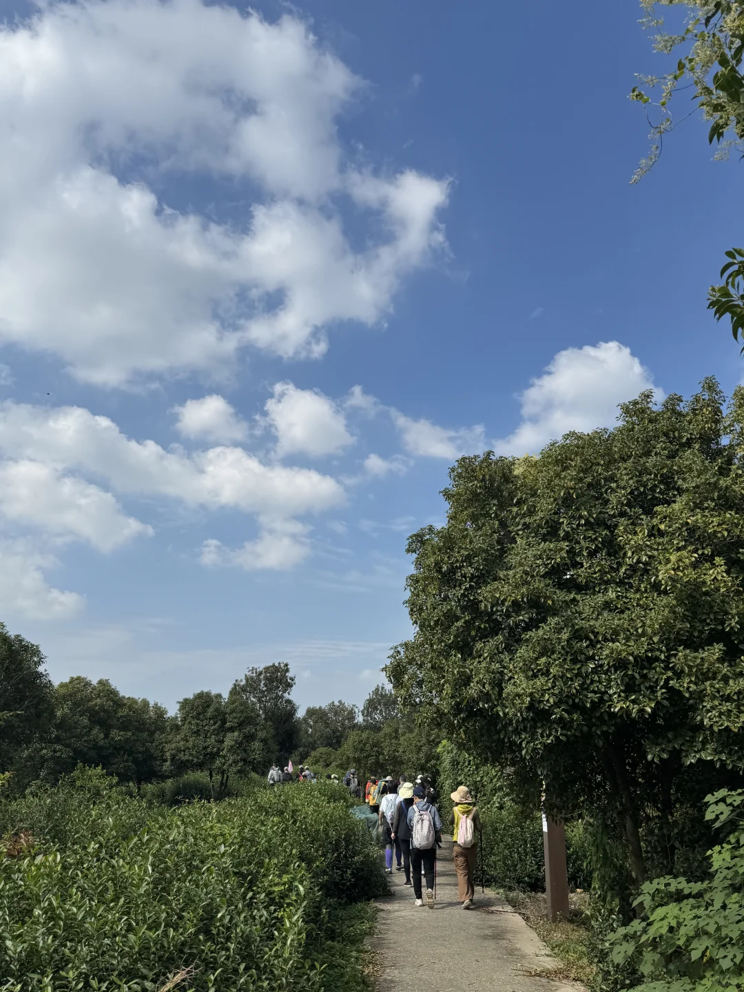 本周日苏州旺山徒步