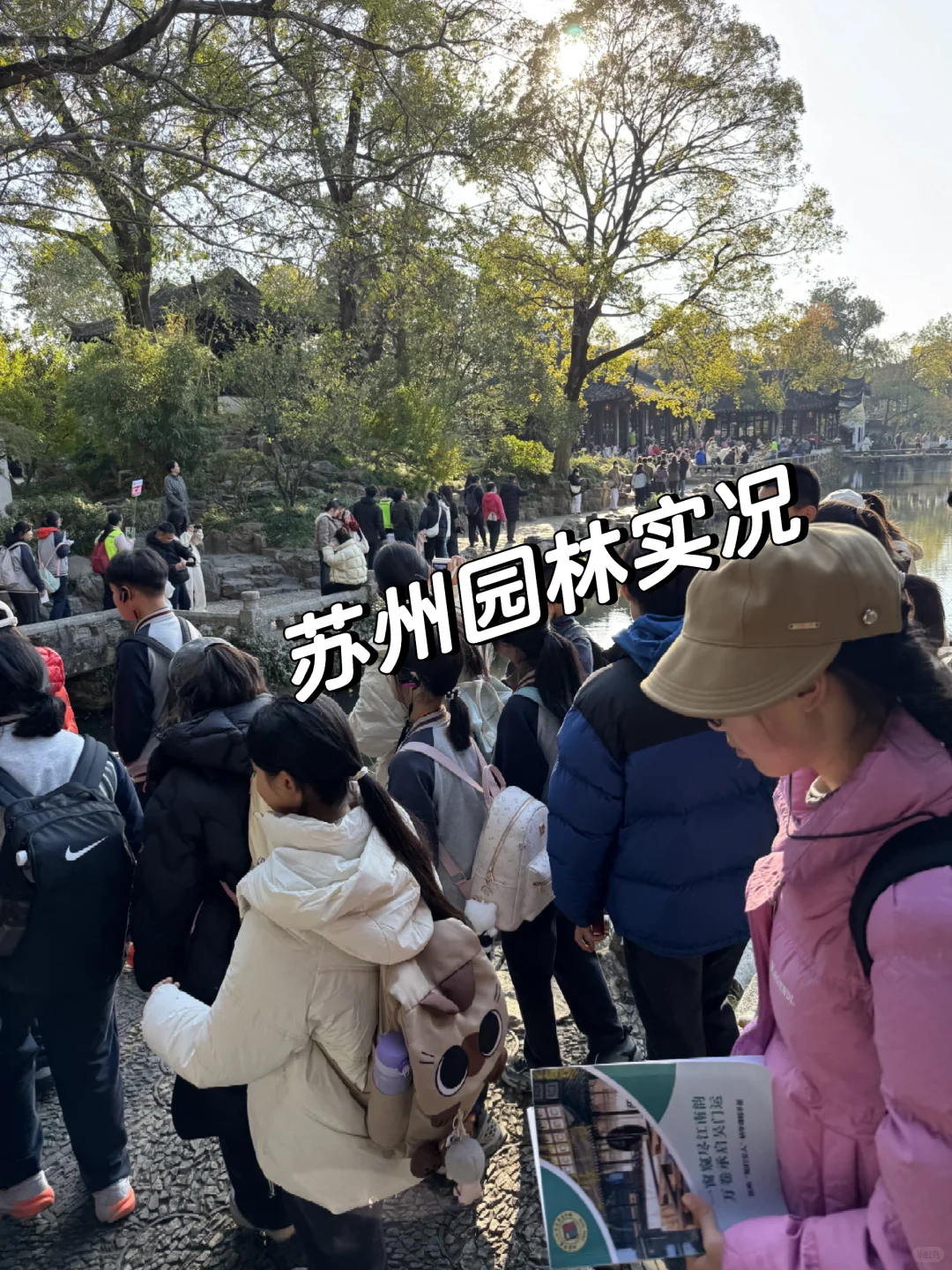 今日11.19苏州园林实况-拙政园