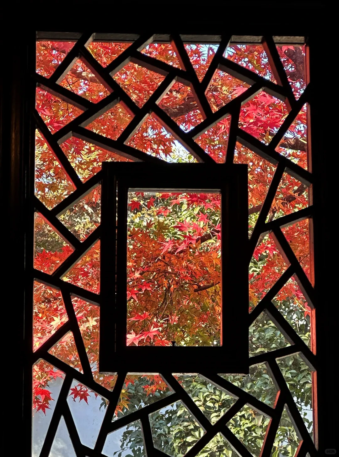 🍂苏州秋天天花板！8个必打卡地美到窒息