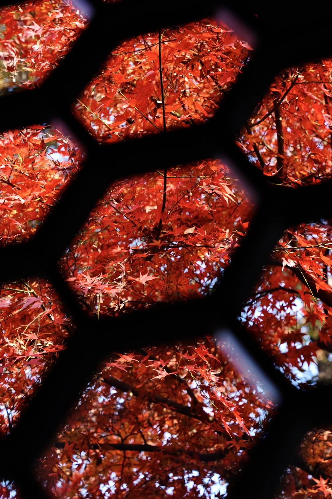 苏州周末两日游C