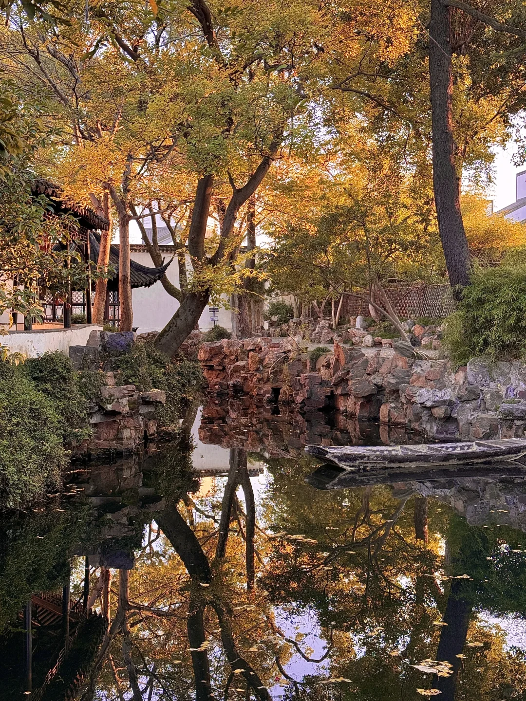 11.13实况live！！！秋天的拙政园！！美到封神…