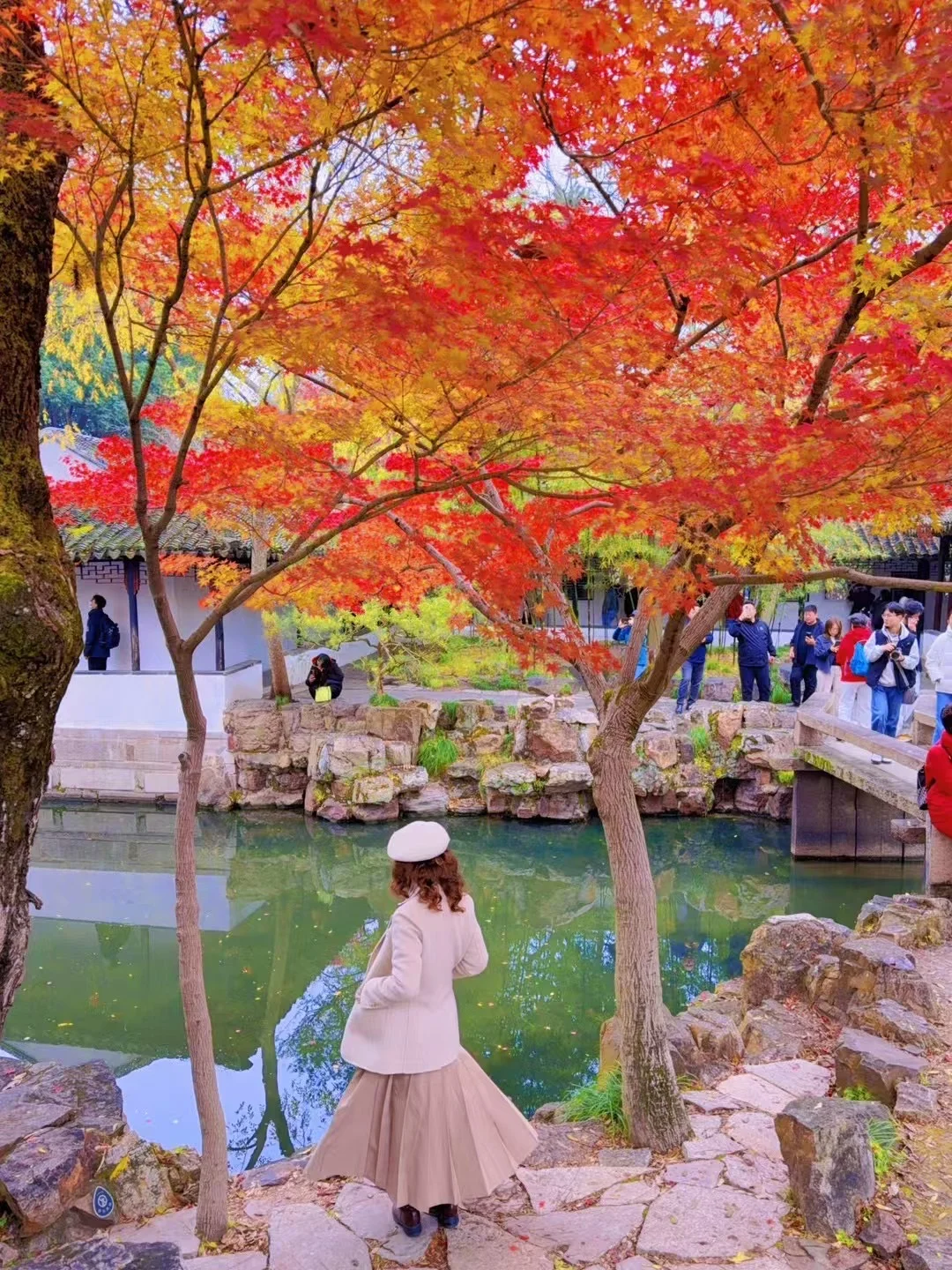 12月的苏州拙政园，错过又要等一年！