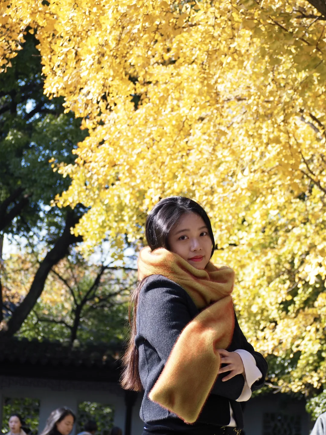 听说你准备要去苏州赏秋，提前帮你探探路