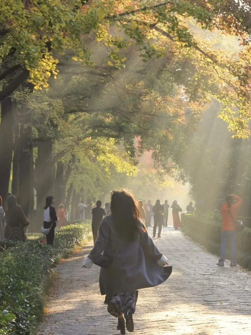 爱回收｜现在来南京赏秋🍁就去这9个地方