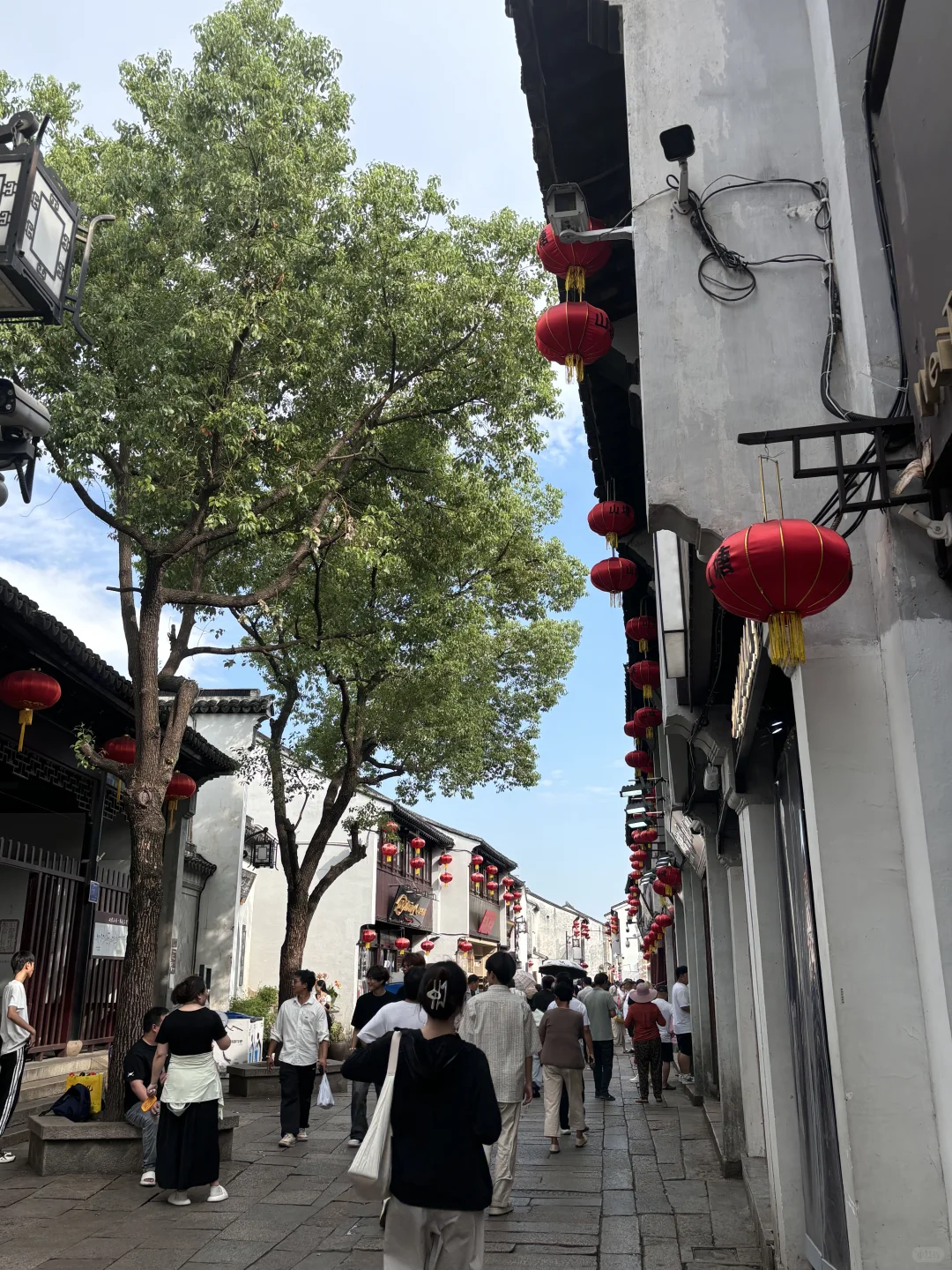 一朝入姑苏📍满眼是江南📸