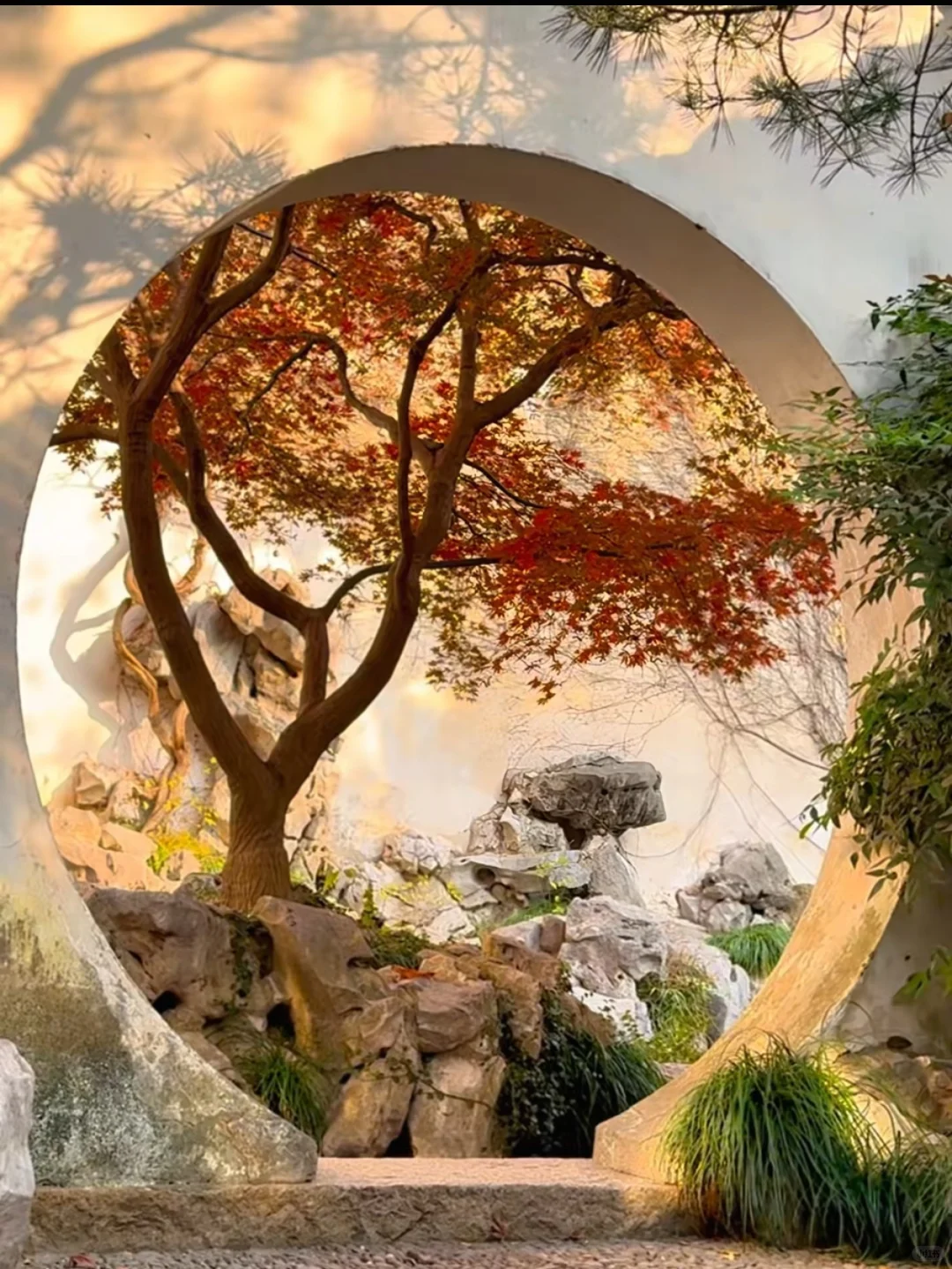 🍂苏州秋天天花板！8个必打卡地美到窒息