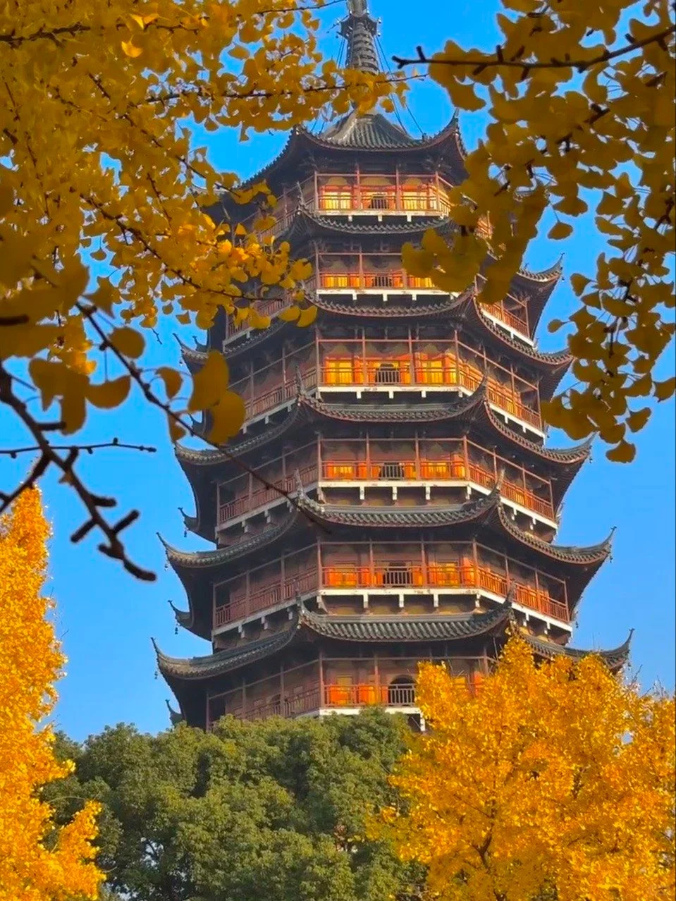 11月中下旬超适合去苏州！赏江南深秋浪漫