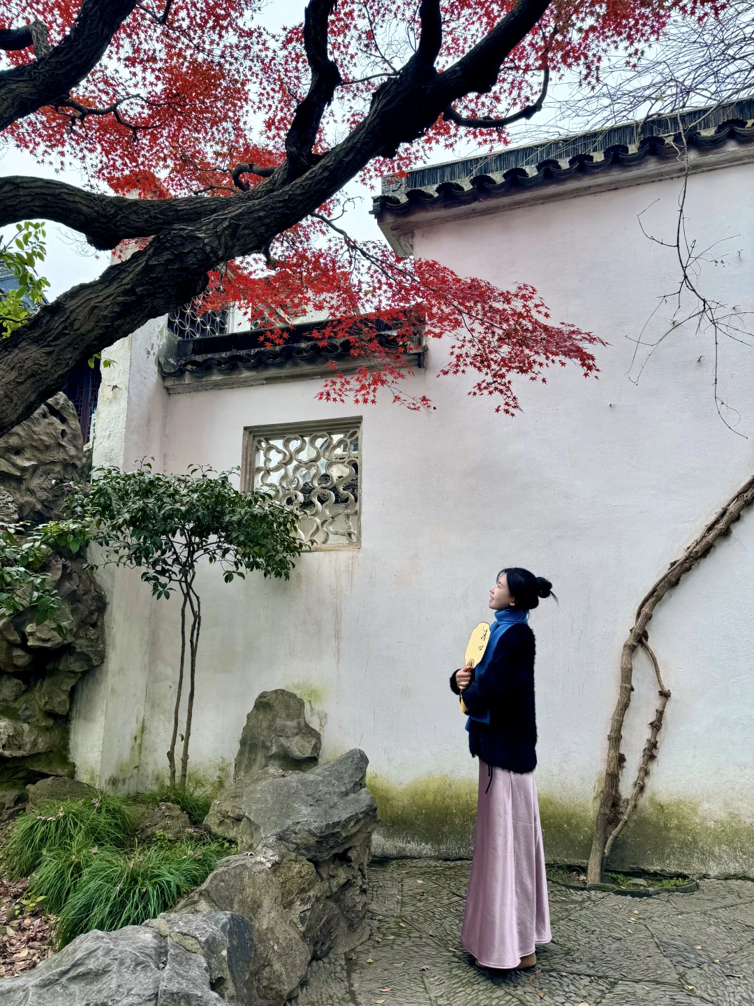 📍苏州赏秋🍁超详细2天1晚citywalk路线攻略