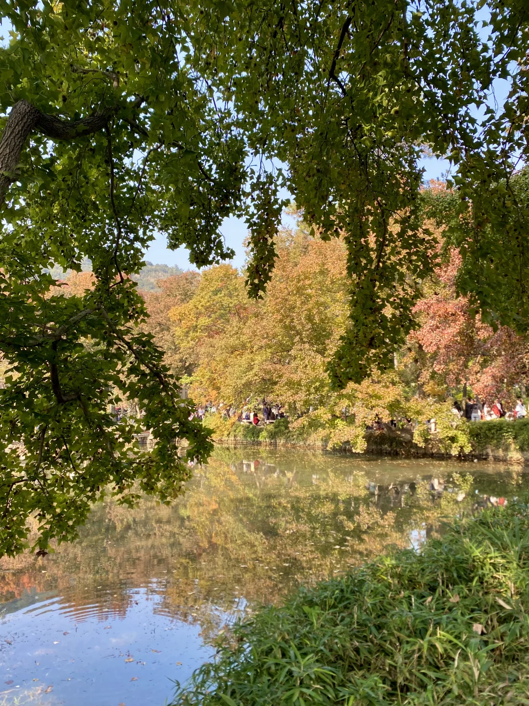 苏州！11月的秋景已经美到next level了！！！