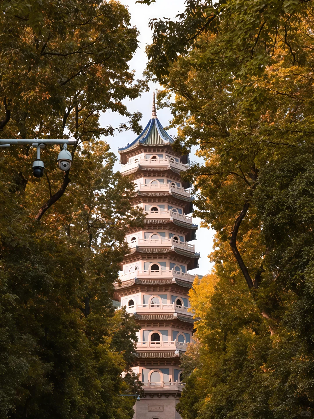 如果错过南京的秋天🍁该有多遗憾呢！