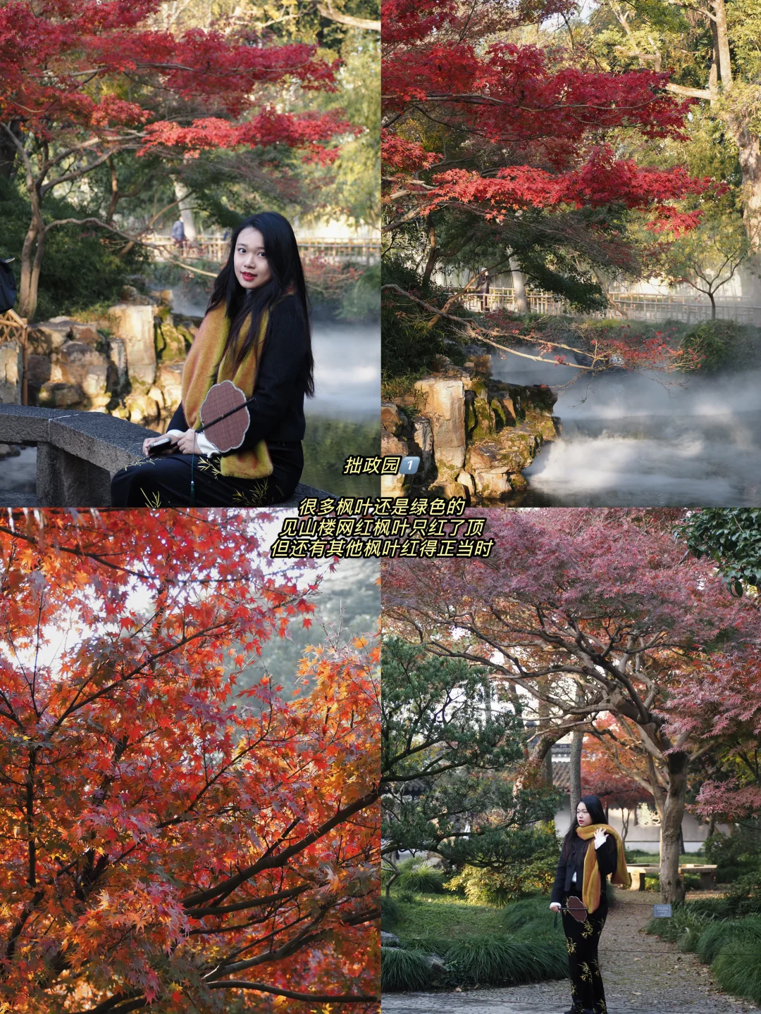 听说你准备要去苏州赏秋，提前帮你探探路