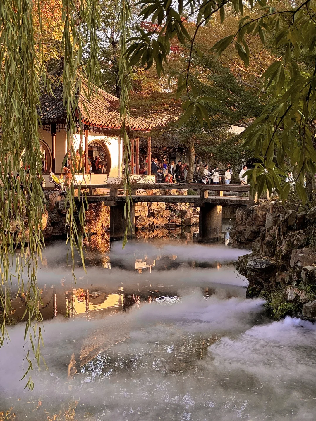 11.13实况live！！！秋天的拙政园！！美到封神…