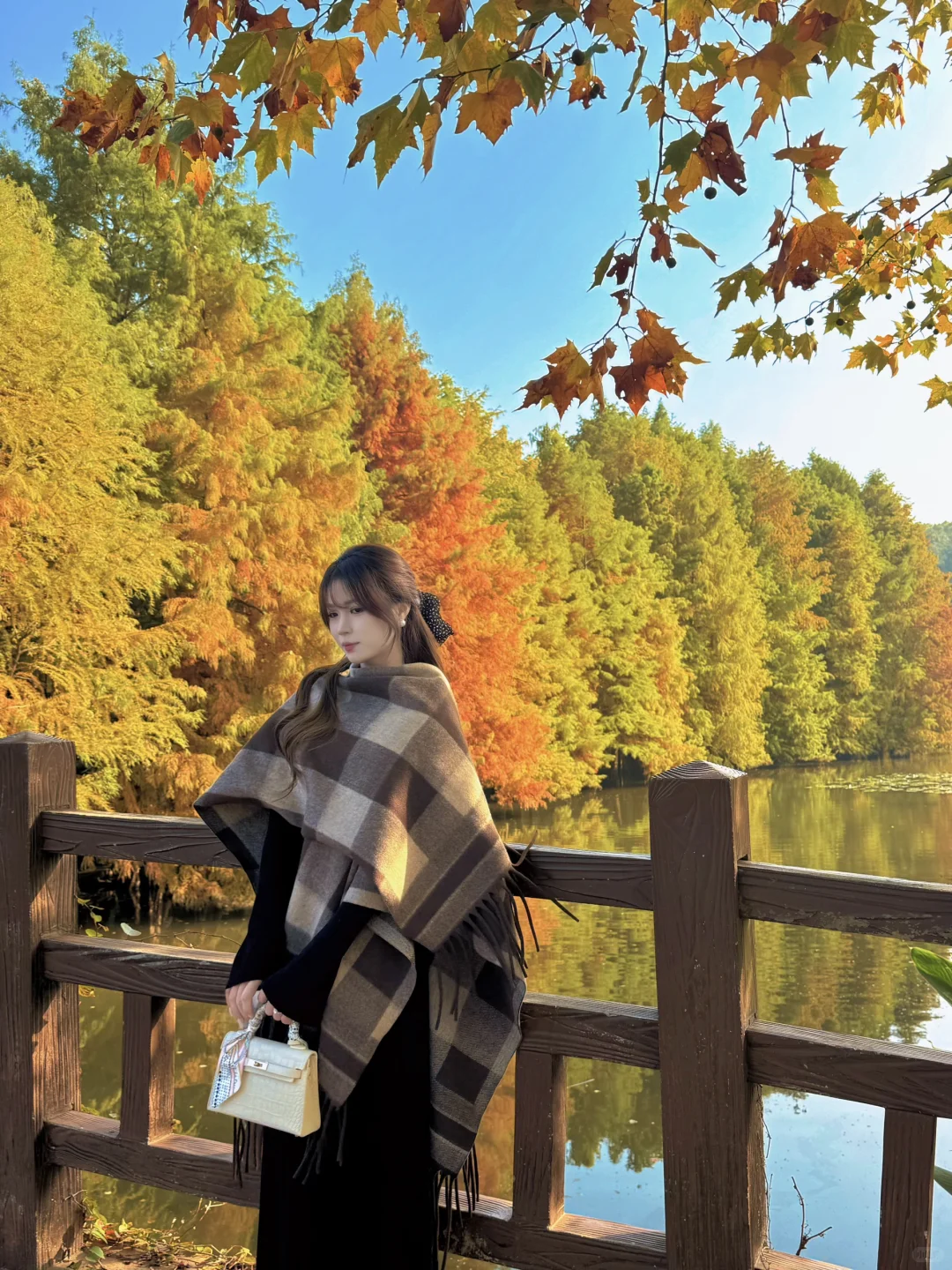 11.10实拍❗️南京落羽杉林已美成一幅画🖼️