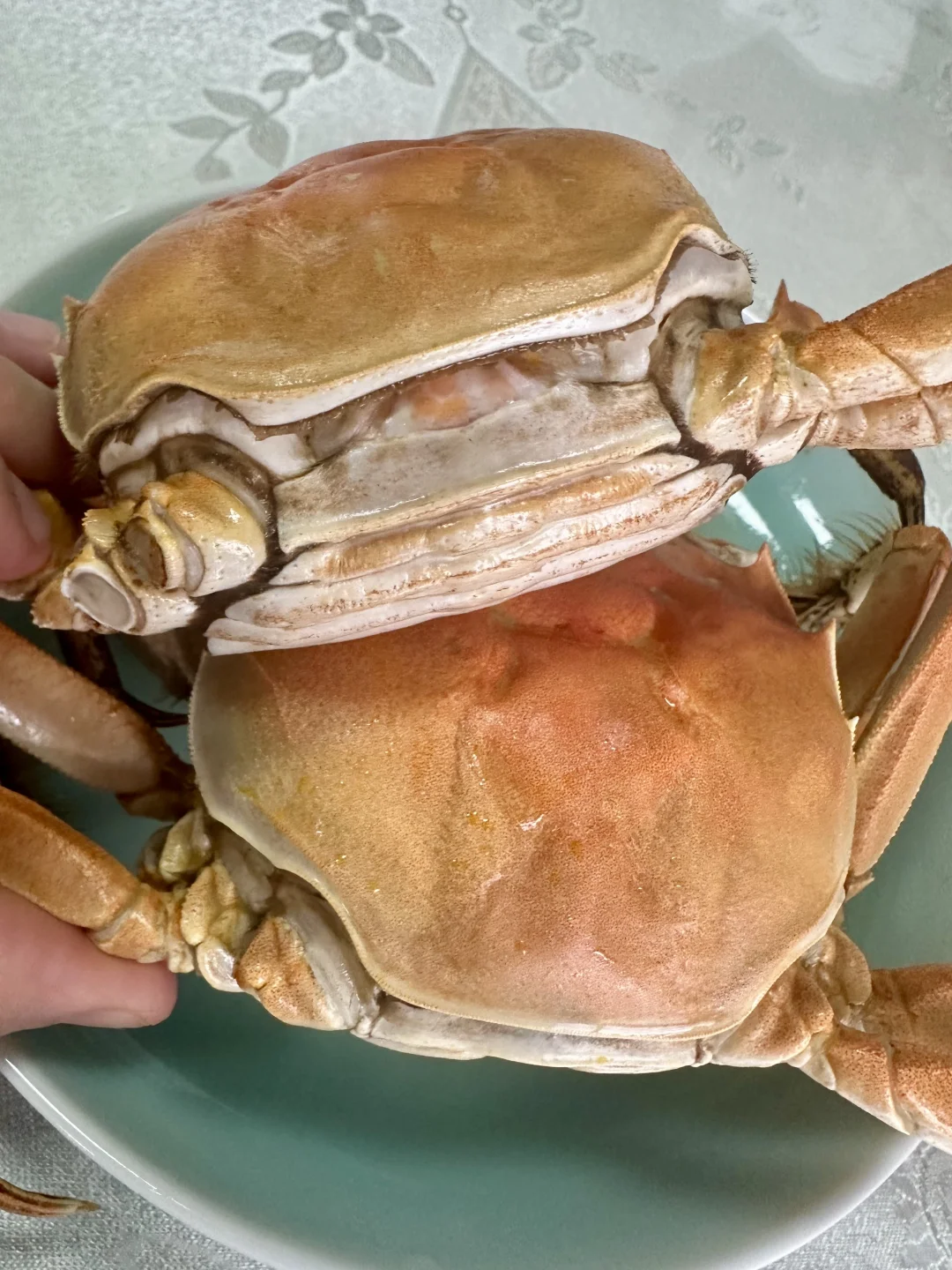 💰100的残蟹在小红书杀疯了，苏州给力！