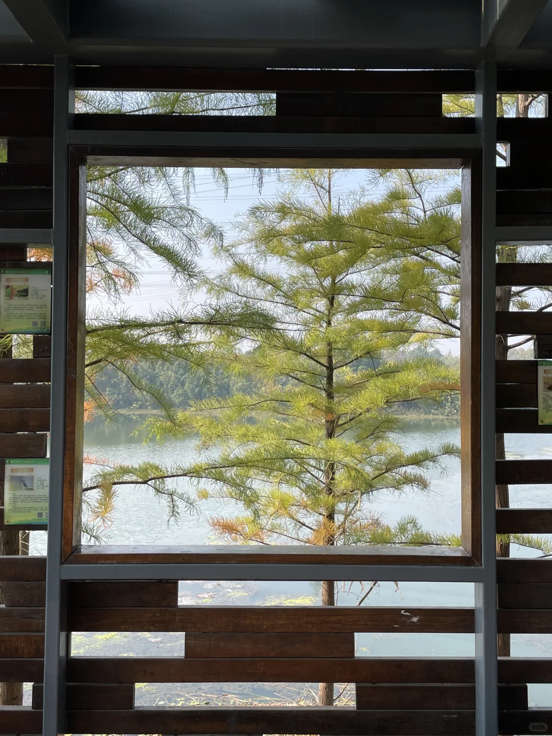 苏州昆山城市生态森林公园