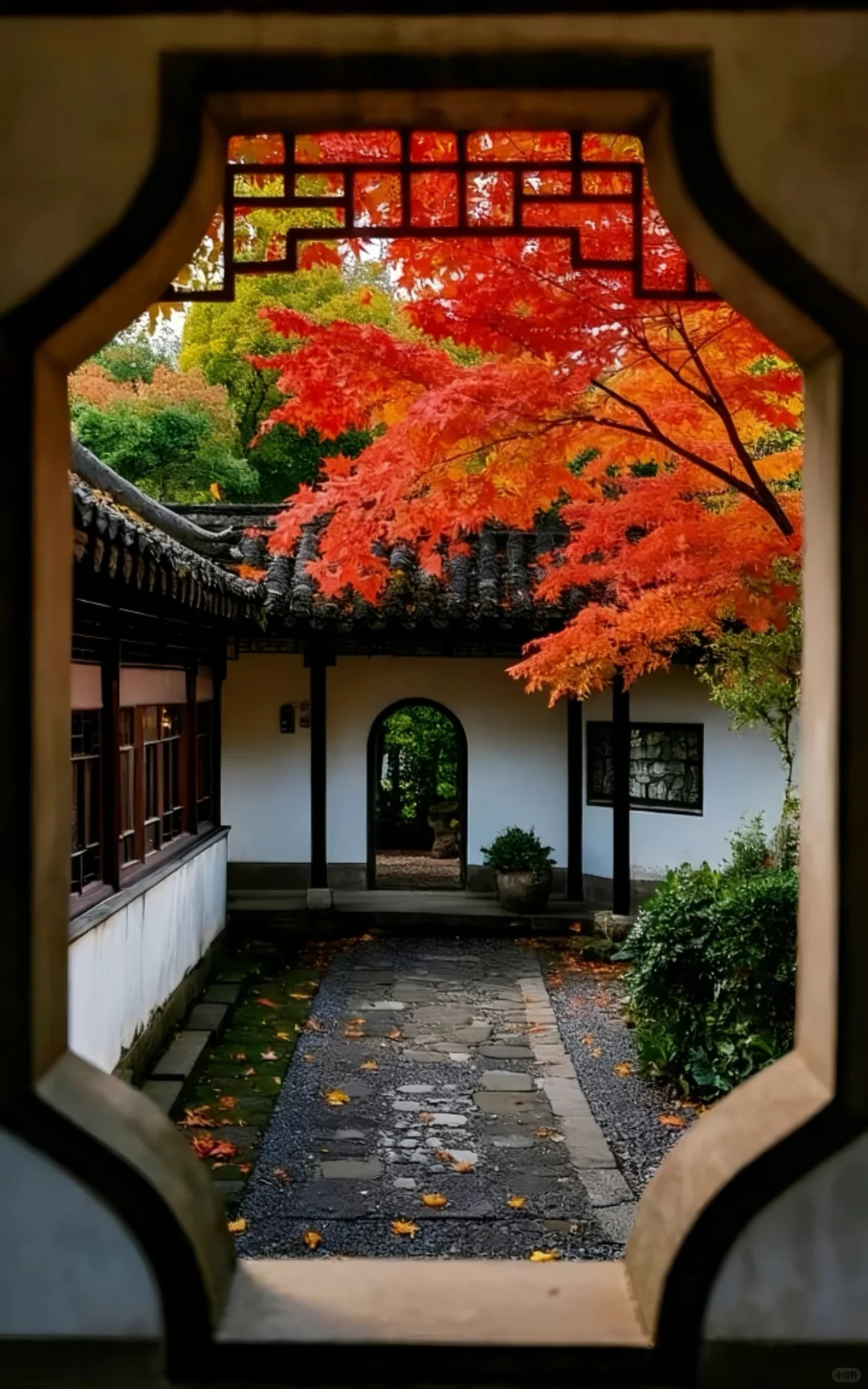 🍂苏州秋天天花板！8个必打卡地美到窒息