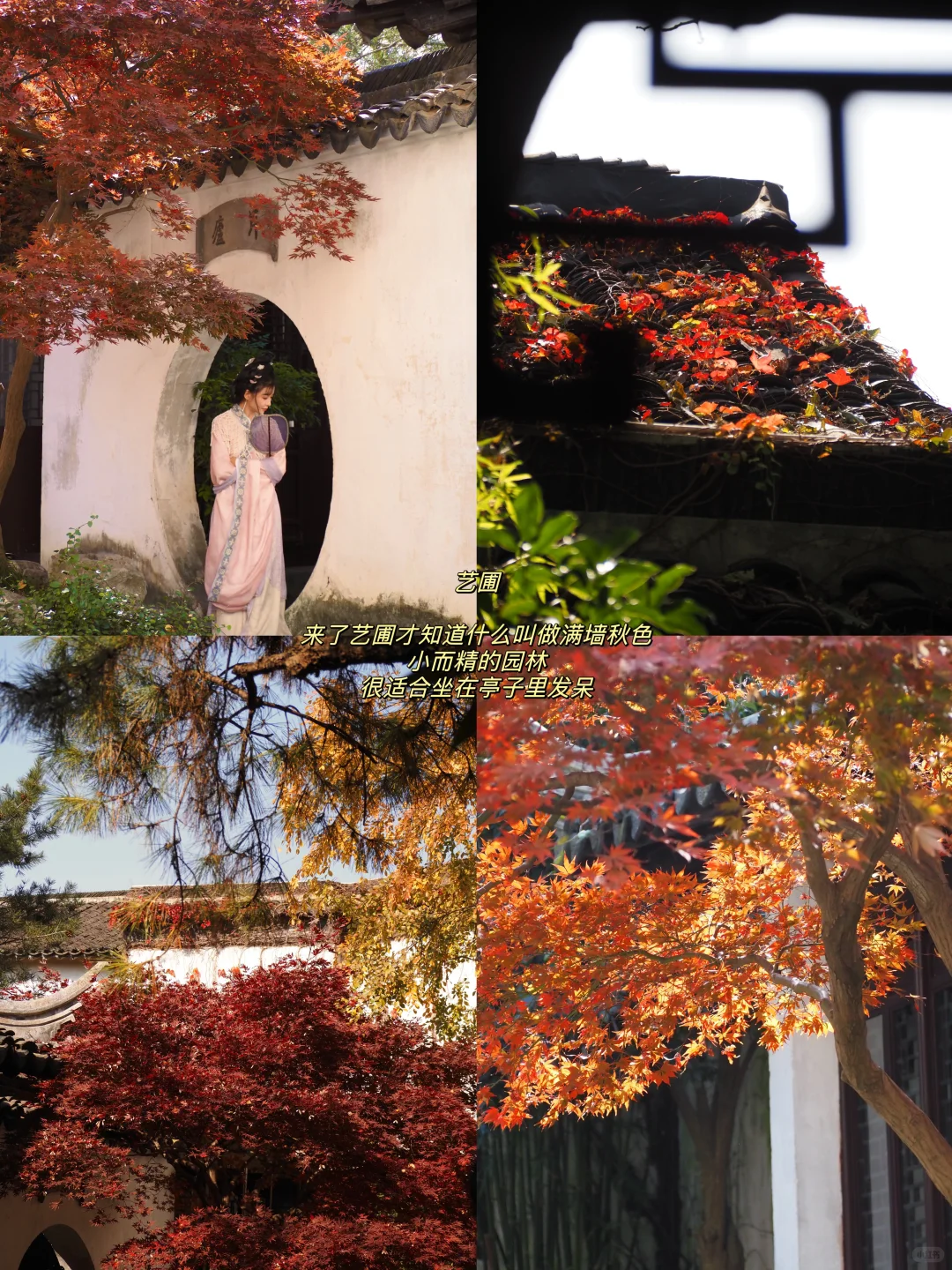 听说你准备要去苏州赏秋，提前帮你探探路