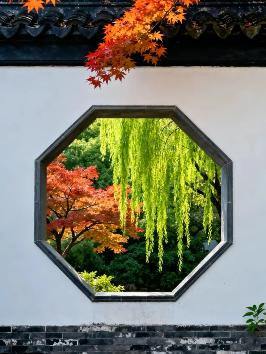 🍂苏州秋天天花板！8个必打卡地美到窒息