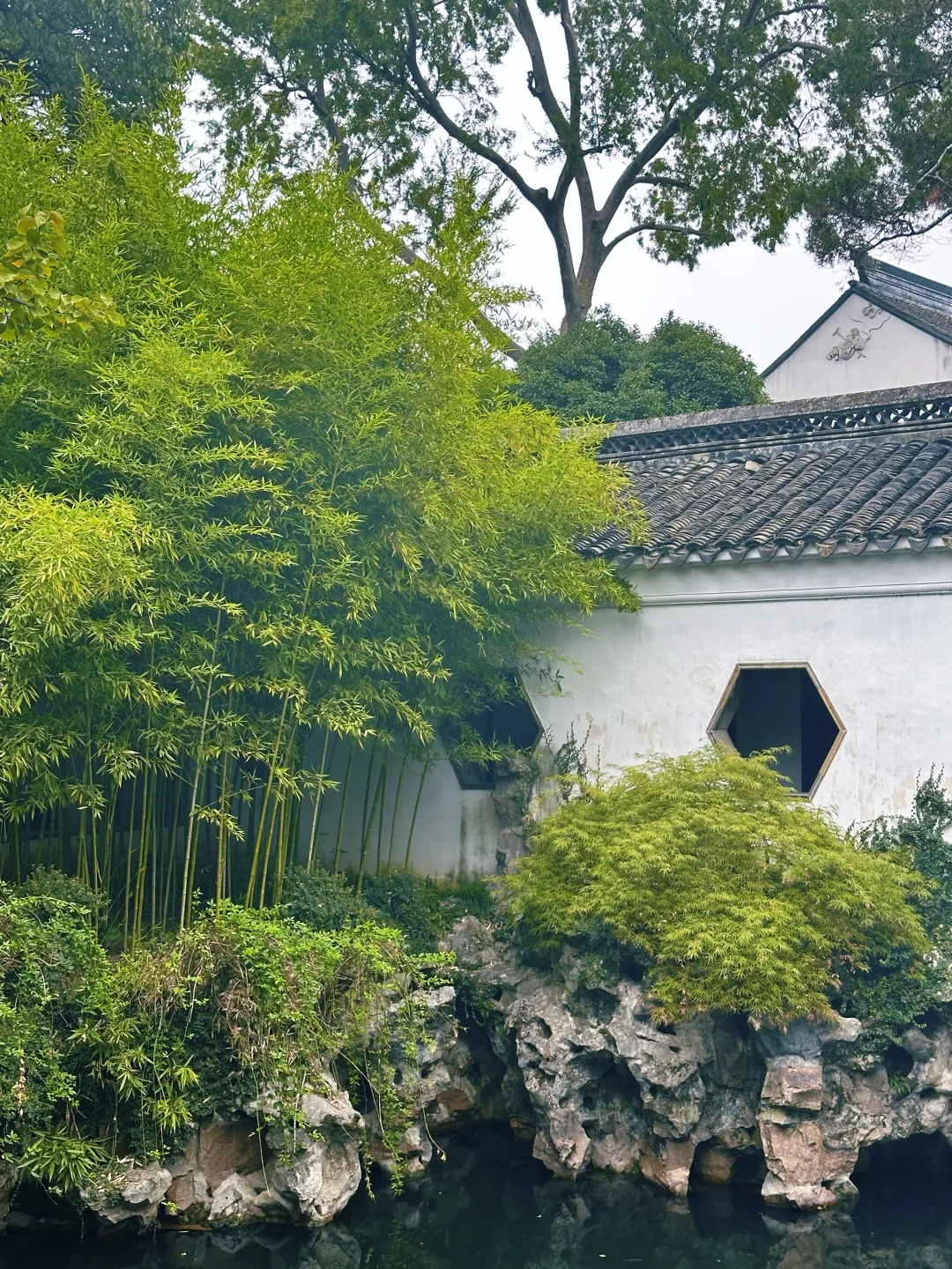 在苏州的诗词里，寻一场烟雨行舟🍃