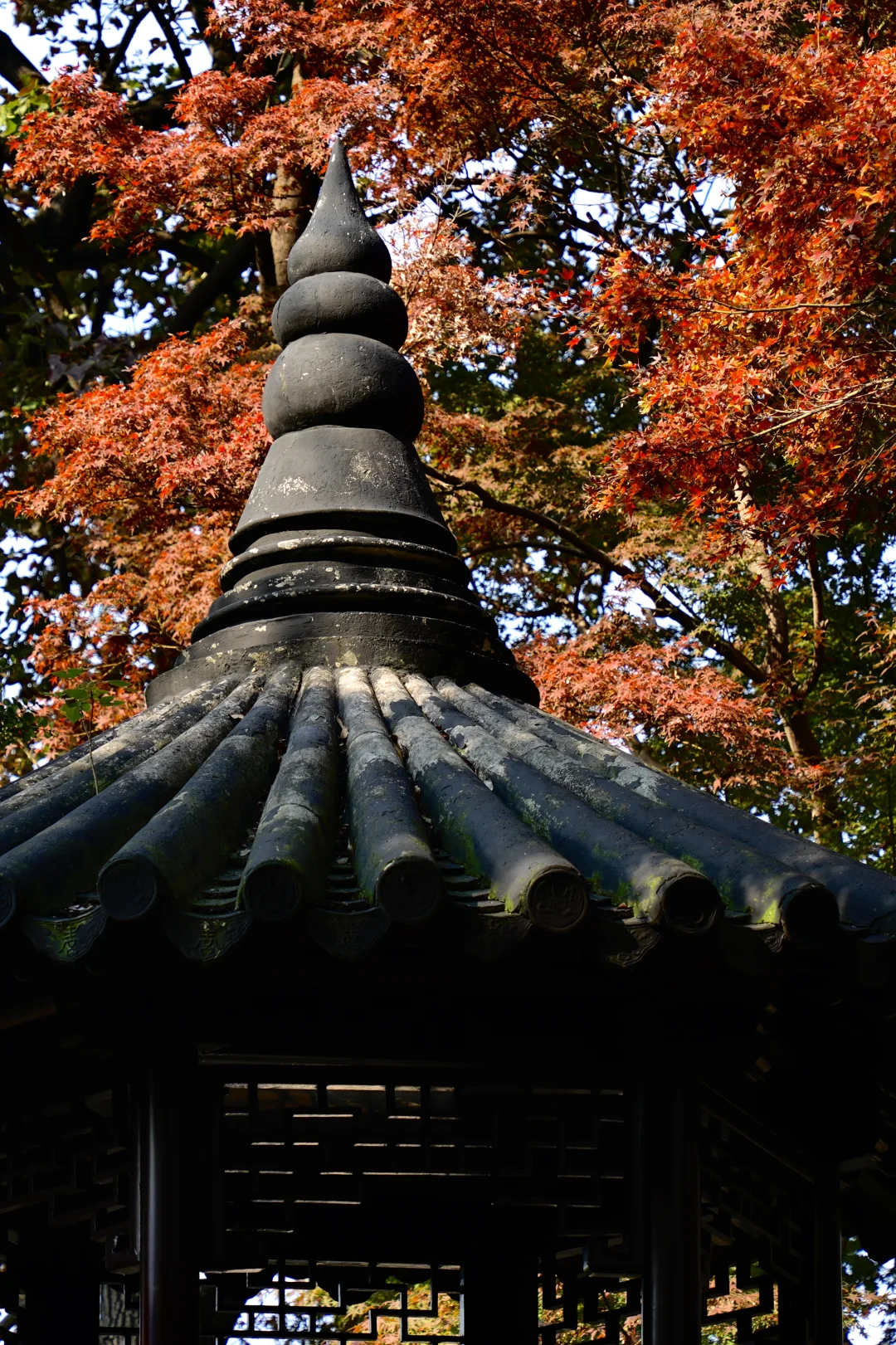 苏州周末两日游C