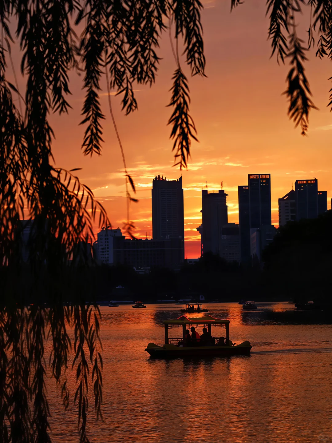 如果错过南京的秋天🍁该有多遗憾呢！