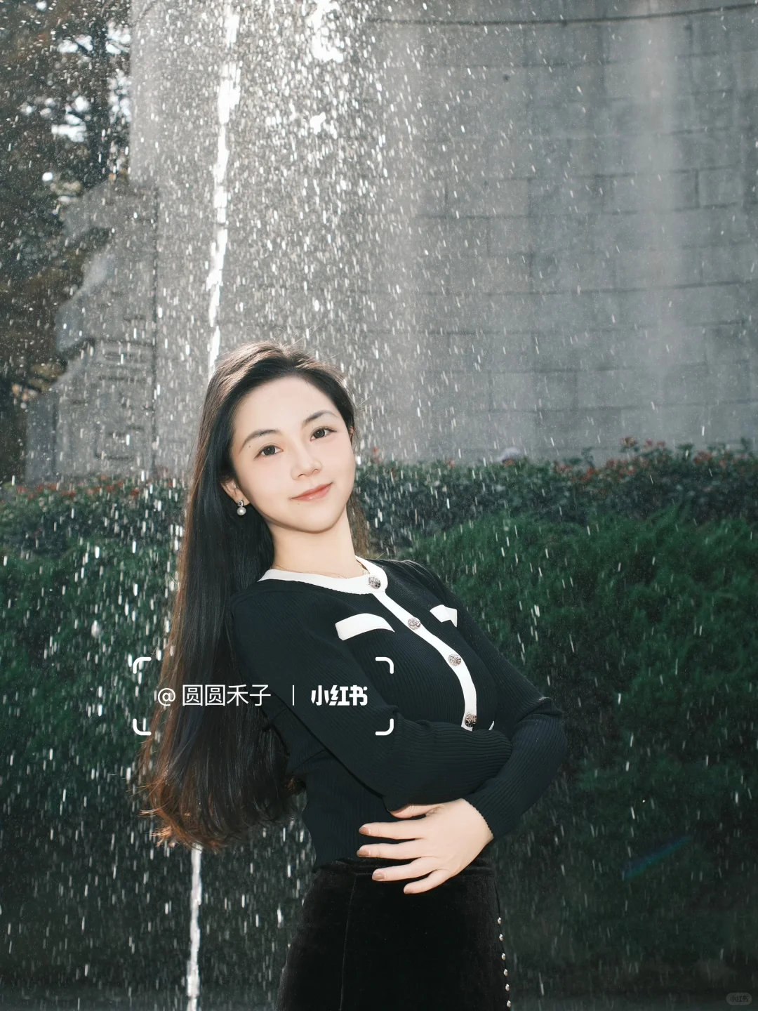 📍南京音乐台，来看看🕊️鸽子