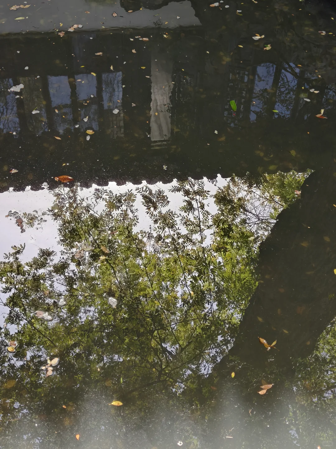 苏州园林｜拙政园