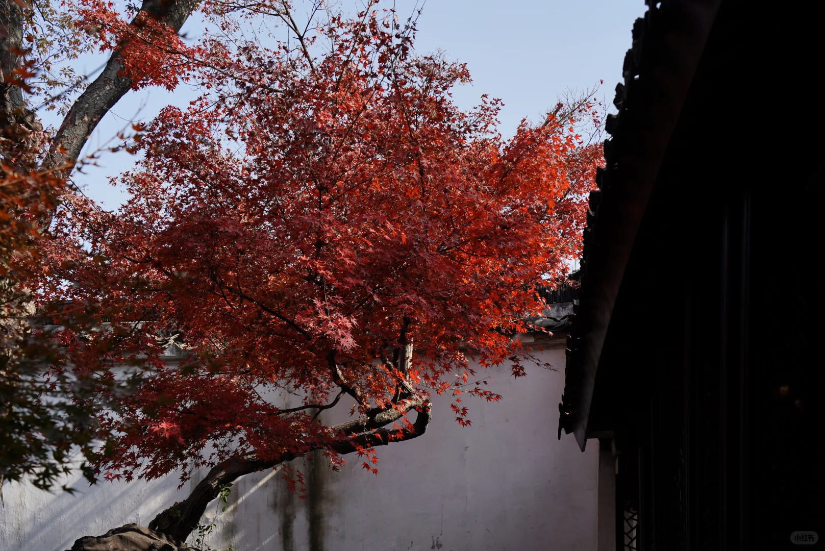 苏州周末两日游C