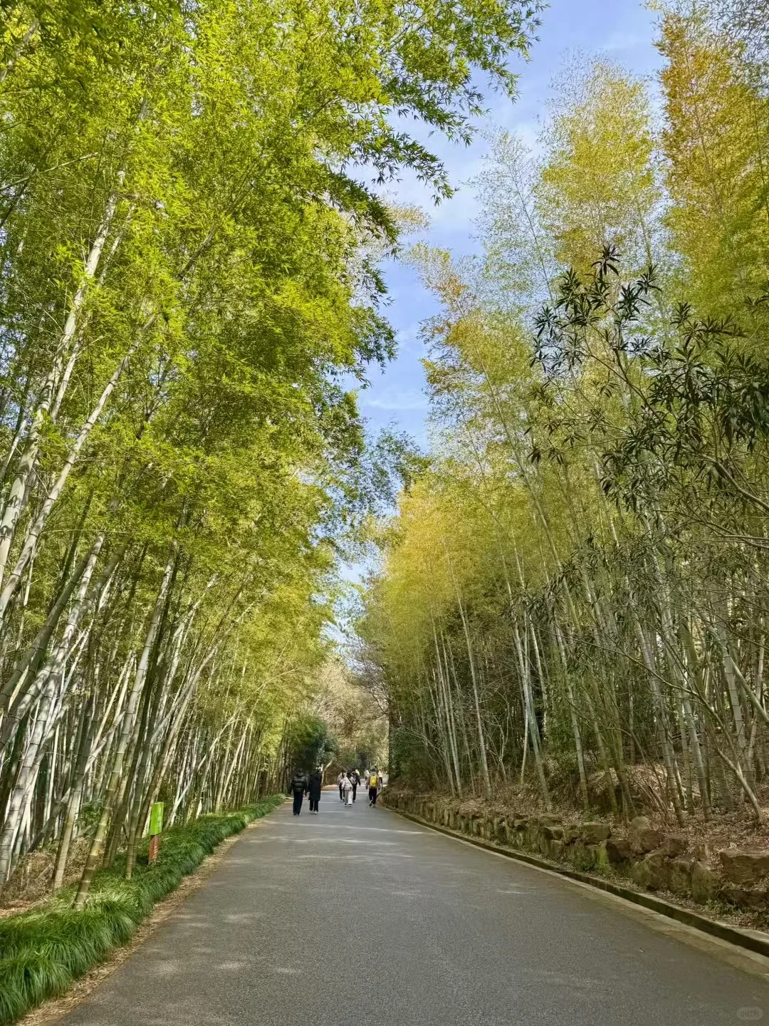 本周日苏州旺山徒步