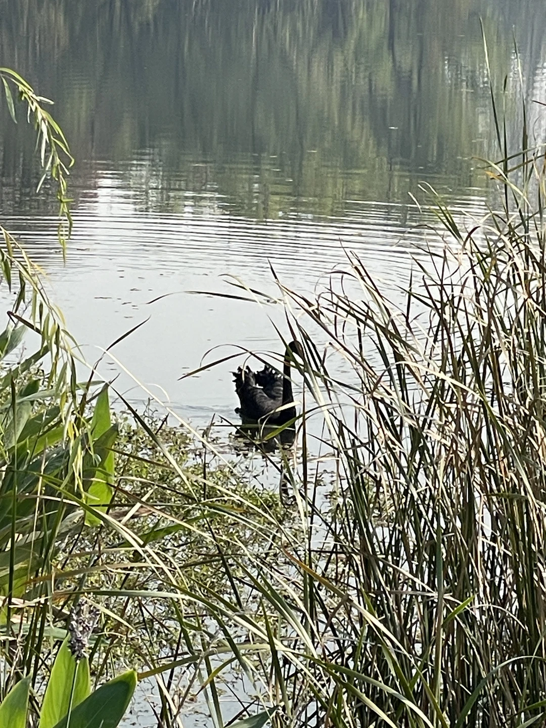 苏州昆山城市生态森林公园